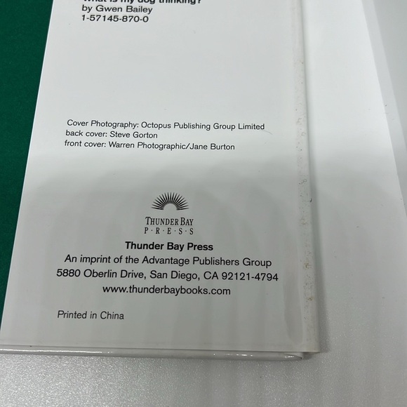 What is my cat Thinking by Gwen Bailey Hardback Book - Picture 10 of 11